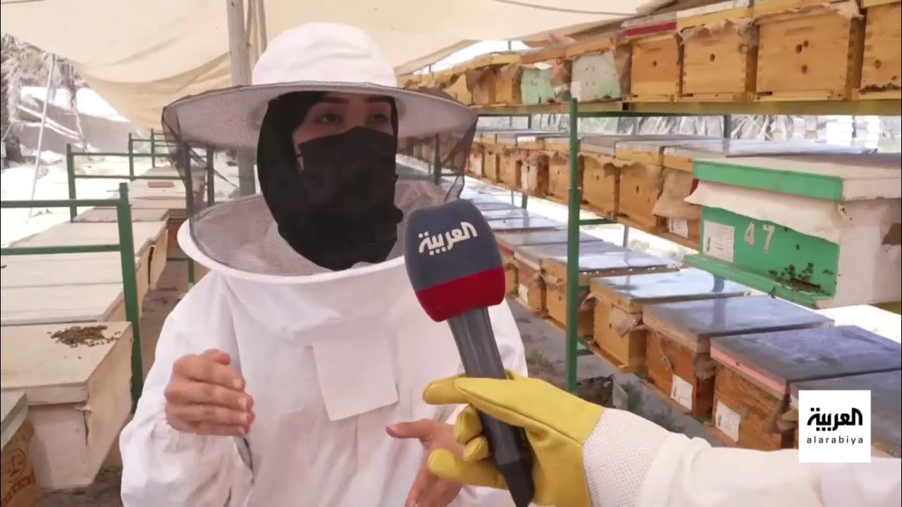 نشرة الرابعة | فاطمة.. أصغر نحالة في القطيف بـ 200 خلية وإنتاج تجاري