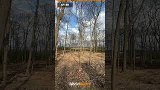 Before & After: Forestry Mulching | Brushworks