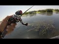 bass fishing ca delta