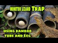 Bayawak/Monitor lizard trap using bamboo and egg