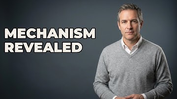 How Does The Catapult Release Mechanism Operate?