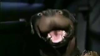 Remote: Triumph the Insult Comic Dog Tries Being Nice in NYC - 12\/20\/2001