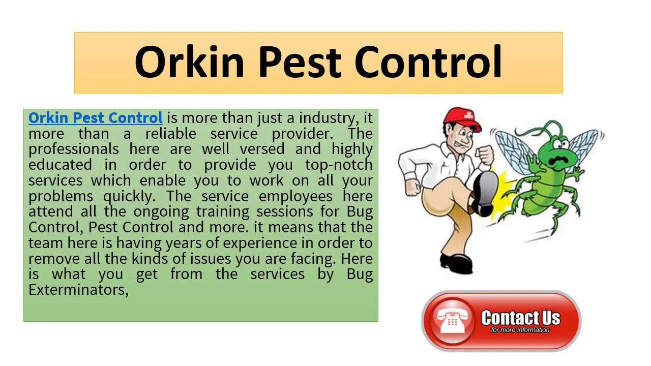 Contact Orkin Pest Control to remove pests from your house YouTube