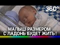 Ребёнок размером с ладошку: врачи спасли малыша весом в 950 граммов