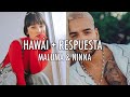 HAWÁI + RESPUESTA (MALUMA & NINNA)