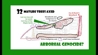 Crhnews - Stonebond Spare The Woodland 32 Captions