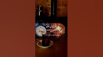 القارئ سعد الغامدي | سورة التغابن