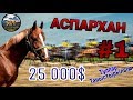 Бәйге Аты - АСПАРХАН - 25 000$ - Тұлпар Таныстырылым || About Horses