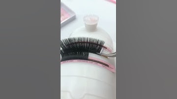 L curl Easy Fan from Amelie Lash 🛒www.amelielashes.com
