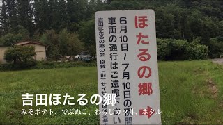 吉田ほたるの郷・秩父市（2020年6月26日）