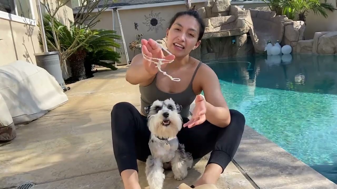 Crystal Anklet White Starfish Ankle Chains