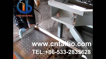 Cashew nut kernel shell separator machine