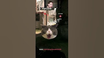 MW2 ps5 smg FENNEC 45 my gameplay fun build #shorts