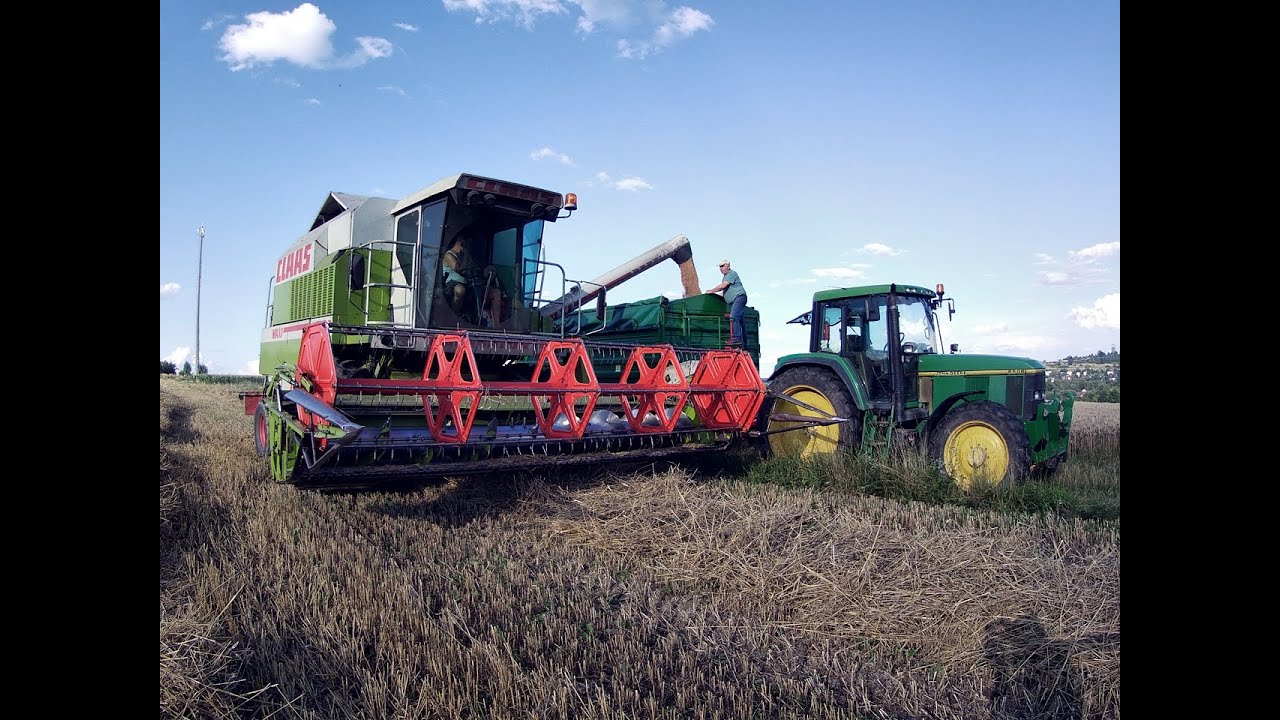 ŻNIWA PSZENICY OZIMEJ 2025 / GR KRAMARCZYK /CLAAS DOMINATOR 108 SL MAXI/ 2 X JOHN DEERE / 3 X PRONAR