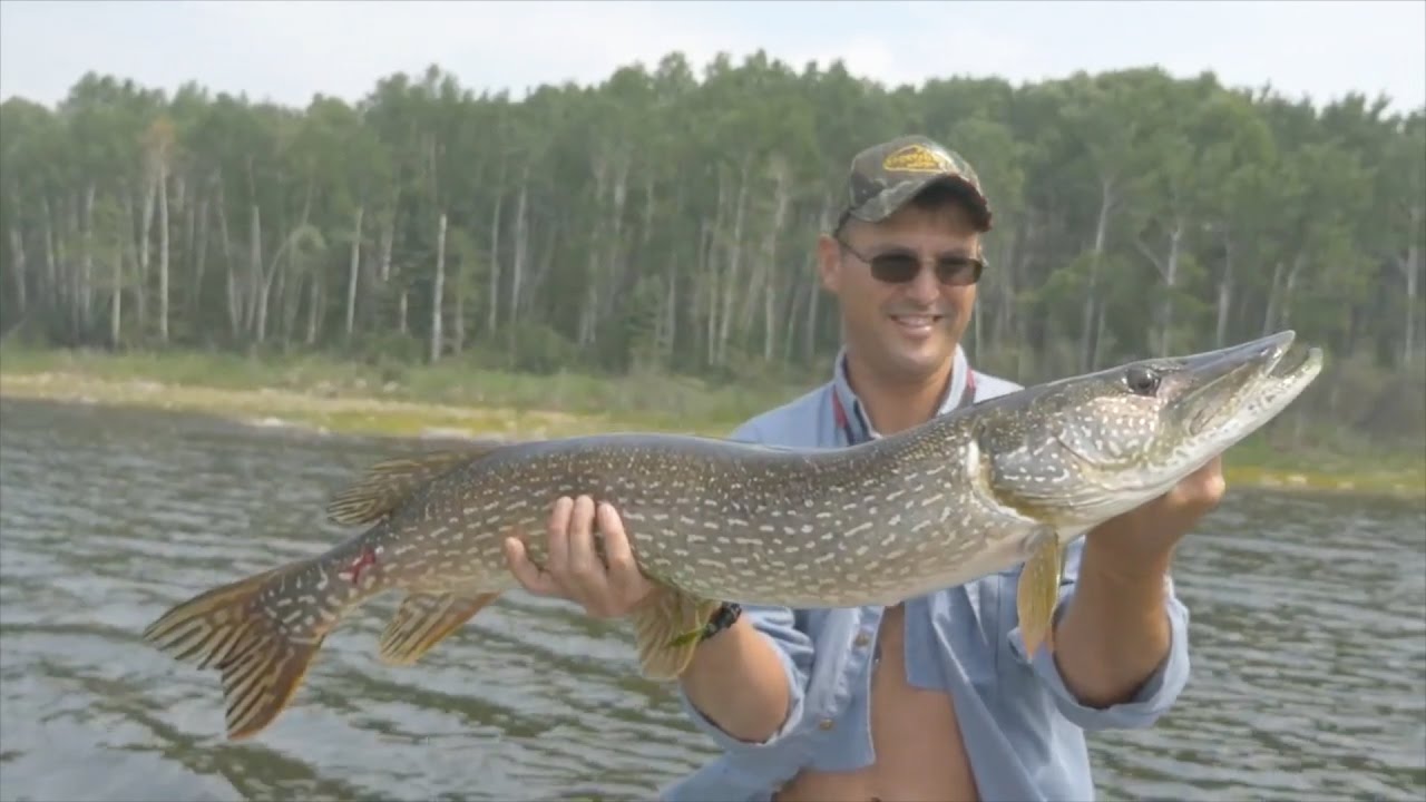 ProMembership Sweepstakes Drawing for Ruffo's Sportsman's Lodge YouTube