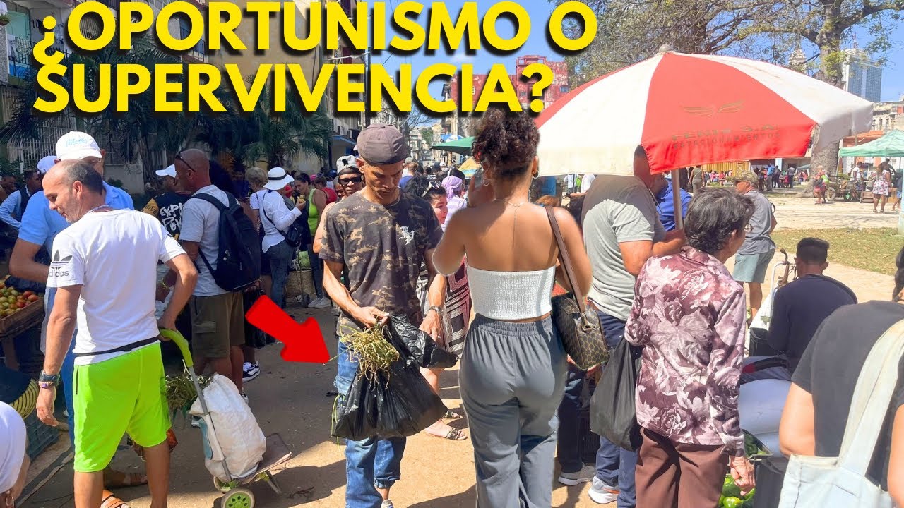 🚨CUBA MARZO 2026: El PAÍS DEL “INVENTO” 🇨🇺 ¿Sobrevivir o Aprovecharse?