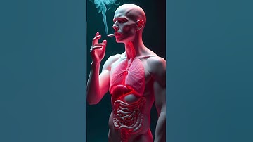 What Cigarettes Do to Your Body | Shocking 3D Animation