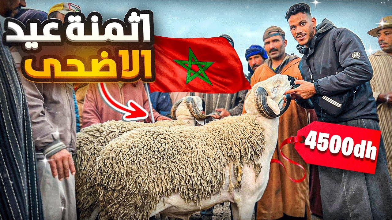 زيارة سوق شعبي بالمغرب🇲🇦