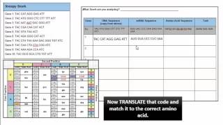 Snorks Assignment