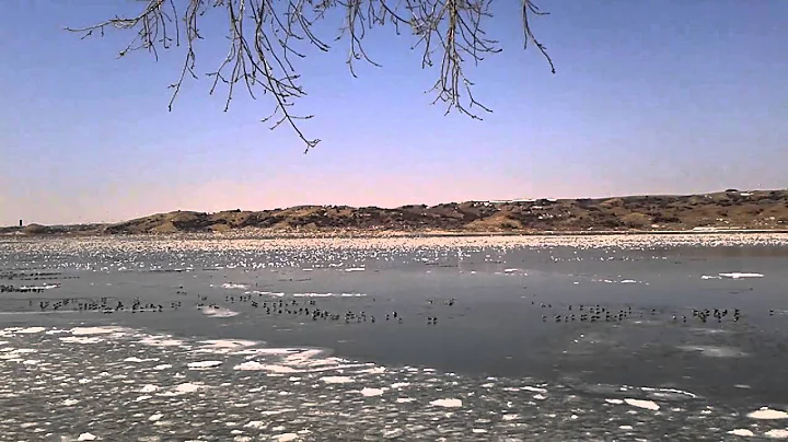Mssouri River scene / by Nancy LeMasters