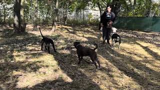 Playgroup: Pamplona + Walker + Gooseberry