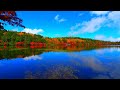 Shirakoma Pond was the most moving autumn foliage I have ever seen!