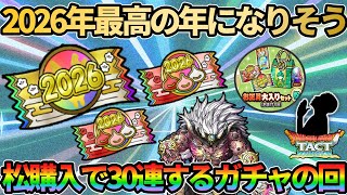 【ドラクエタクト】今年は最高の年で決まり！縁起の良い「松」を購入してお正月ガチャ30連引いていく回！！！