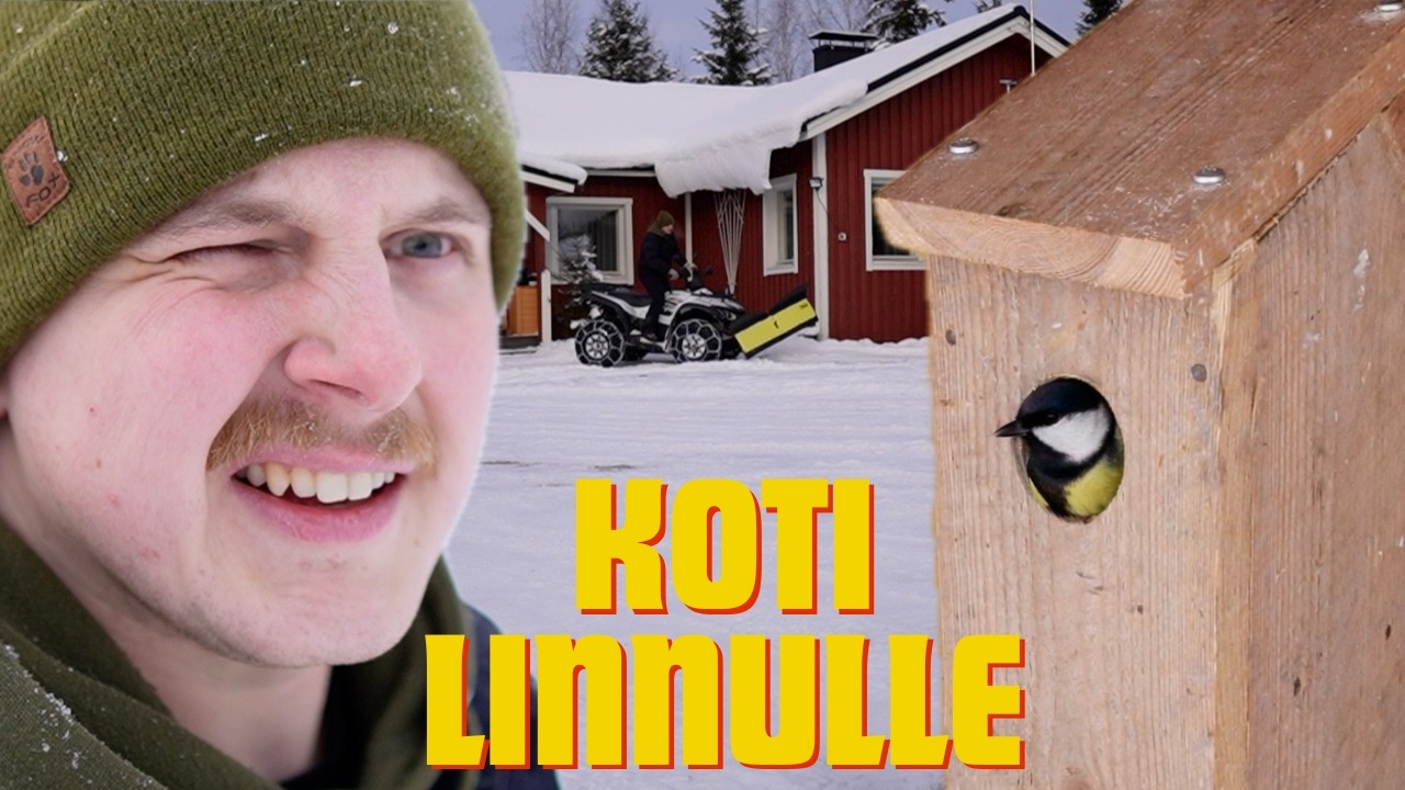 LINNUNPÖNTTÖ JA LUMITÖITÄ | PÄIVÄ RAJALASSA | MAALAISELÄMÄÄ