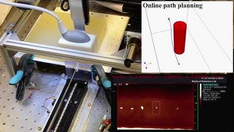 Needle Steering in a 3D Non-static Environment Using Ultrasound