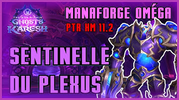 Sentinelle du Plexus NM/HM - Manaforge Oméga! Patch 11.2 THE WAR WITHIN ! WORLD OF WARCRAFT