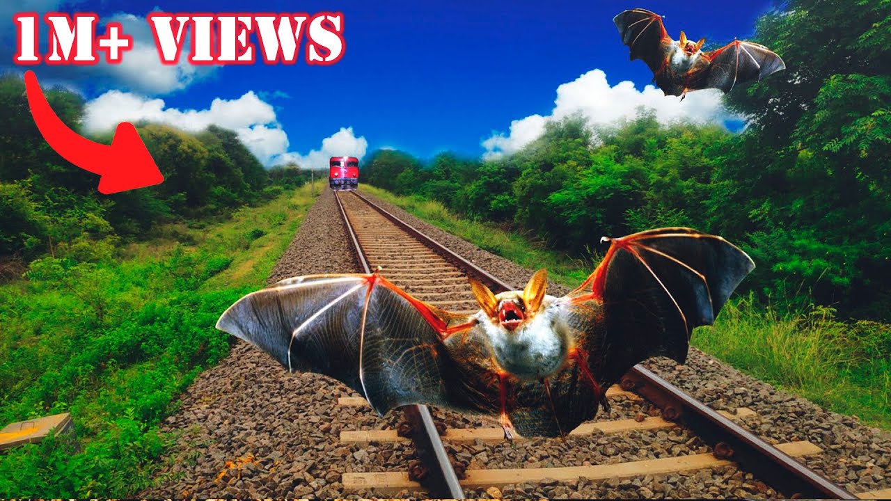 Bat on track try to not stop the train and escapes funny vfx video ...