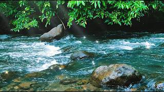 Quiet River Flow | No Talking No Music | Sleep Better Fast Cozy Ember ASMR 🌊