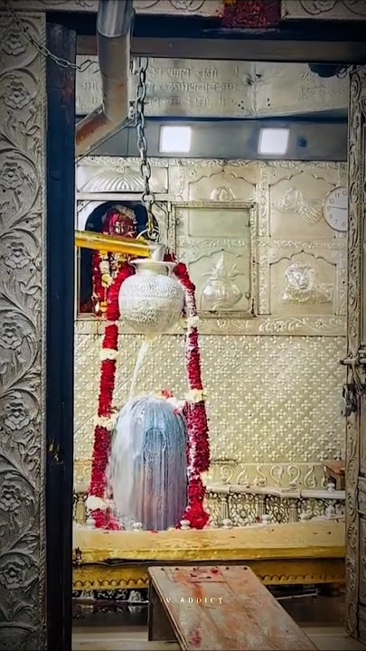 Shiv ne bhajo jiv din raat 🙏🔱 | Mahakal status | Shiv Addict | #shorts #mahakalstatus #youtubeshorts