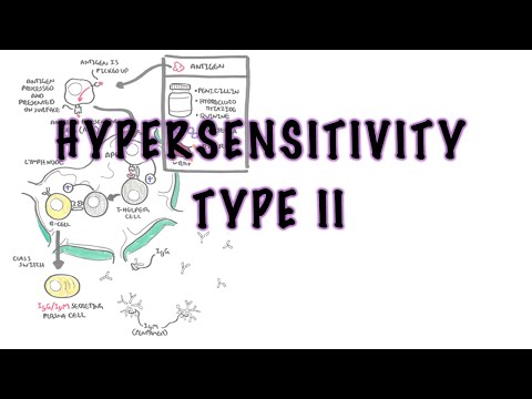 Hypersensitivity Type II (Cytotoxic reaction) - causes, pathophysiology, complement system