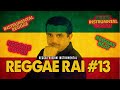 Reggae Rai 13 Houari Benchenet Rani Mdamar Cover Riddim Instumental