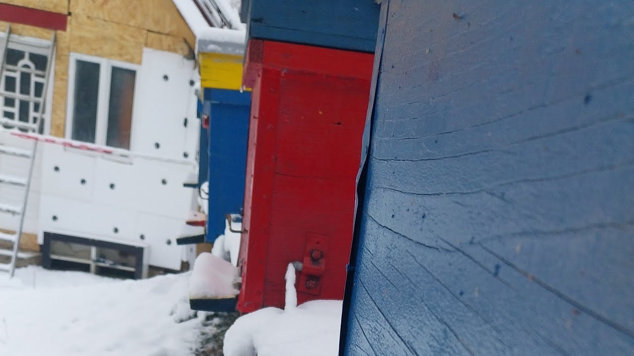 Fără grabă, fără haos – Doar ordine în stupină!🐝🍯