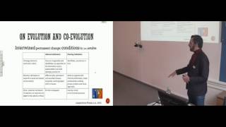 Wenwen Sun1 VIDEO mp4