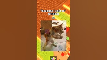 if I was your Dad, These would be MY RULES 😭🙏