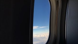 American Airlines MD80 Dallas/Fort Worth to Houston [Full Flight] Trip Report