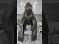 How We Made This Giant Fiberglass Gorilla