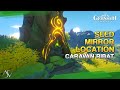 Seed Mirror Location - Caravan Ribat | Genshin Impact 3.0