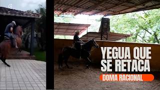 Esta Yegua NO Quería Avanzar - Mira Lo Que Pasó - Trabajo para caballos que no quieren avanzar