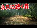 永久に続く森から脱出するゲーム 細部に気づいて変化を見て脱出せよ - Obey the Rules Forest