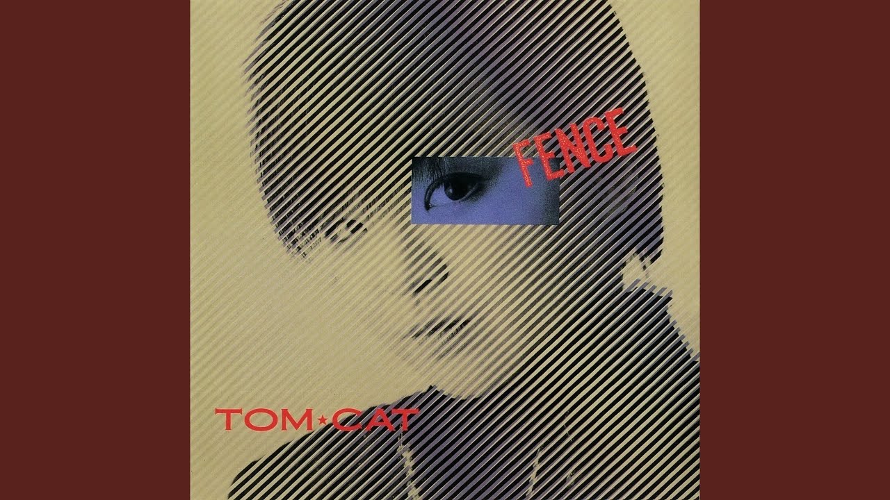 SO WHAT We Are TOM CAT YouTube SO WHAT We Are TOM CAT YouTube