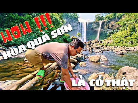 Video #128 LK Giáp 