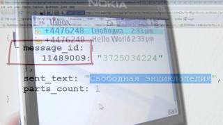 Bulk SMS Gateway API Video - Free SMS Scripts(, 2010-08-24T13:44:14.000Z)