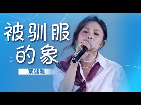 蔡健雅《被驯服的象》唱出了现代人生活中的迷茫 经典好听！[精选中文好歌] | 中国音乐电视 Music TV
