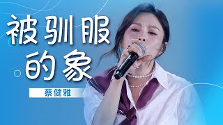 蔡健雅《被驯服的象》唱出了现代人生活中的迷茫 经典好听！[精选中文好歌] | 中国音乐电视 Music TV