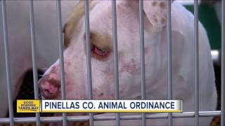 Pinellas County Animal Ordinance