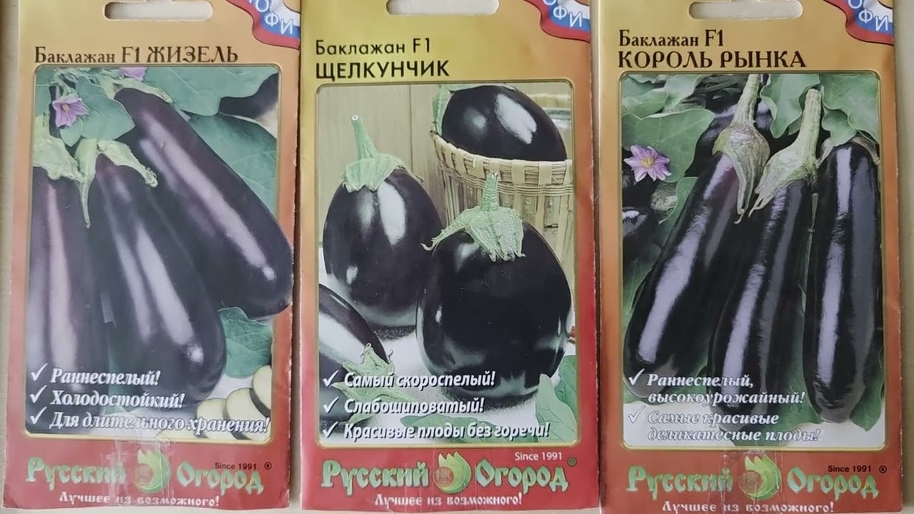 Баклажаны посеяны 2026